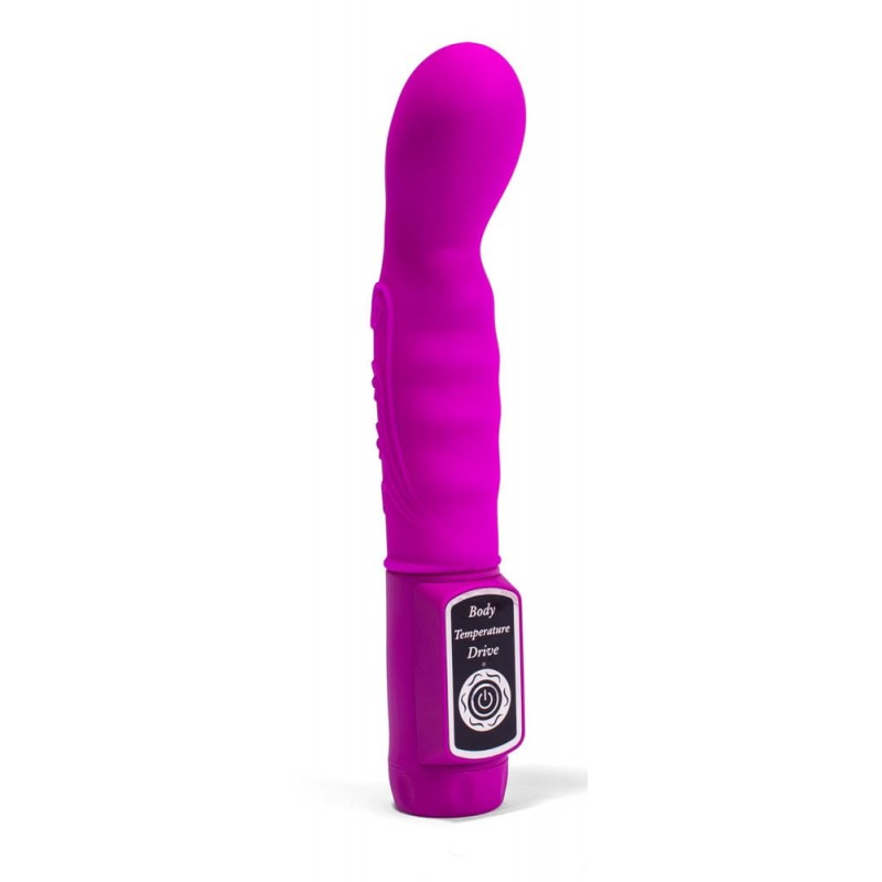 Vibrator Pentru Punctul G Pretty Love Body Touch II Purple